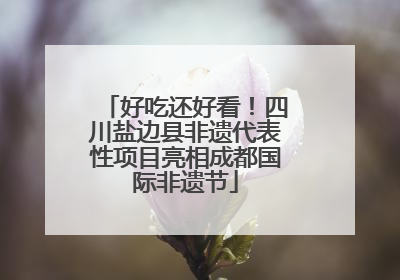好吃还好看！四川盐边县非遗代表性项目亮相成都国际非遗节