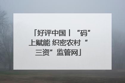 好评中国丨“码”上赋能 织密农村“三资”监管网