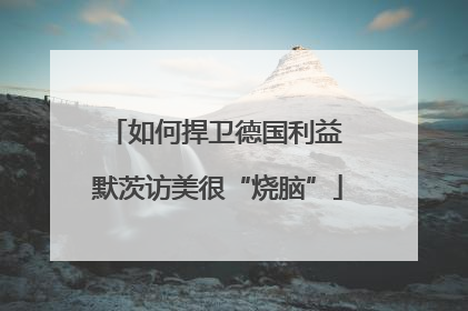 如何捍卫德国利益 默茨访美很“烧脑”