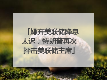 嫌弃美联储降息太迟，特朗普再次抨击美联储主席