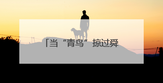 当“青鸟”掠过舜皇山：一场生态与文明的双向奔赴