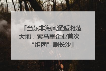 当东非海风邂逅湘楚大地，索马里企业首次“组团”刷长沙