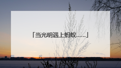 当光明遇上蚂蚁……
