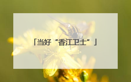 当好“香江卫士”