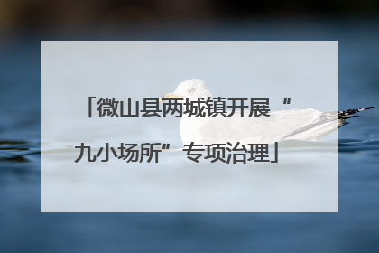 微山县两城镇开展“九小场所”专项治理