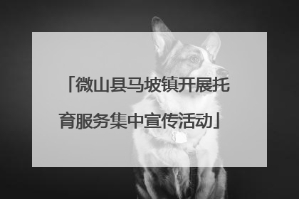 微山县马坡镇开展托育服务集中宣传活动