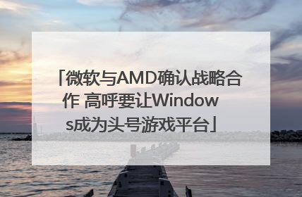 微软与AMD确认战略合作 高呼要让Windows成为头号游戏平台