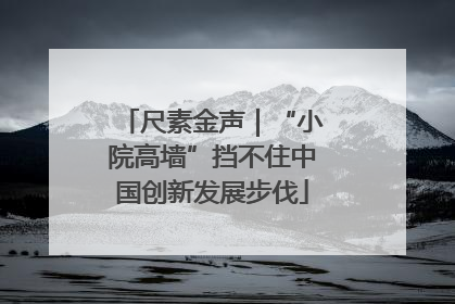 尺素金声｜“小院高墙”挡不住中国创新发展步伐