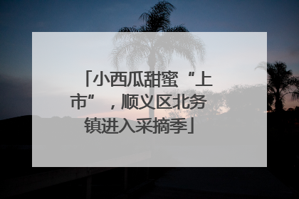 小西瓜甜蜜“上市”，顺义区北务镇进入采摘季