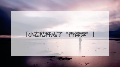 小麦秸秆成了“香饽饽”