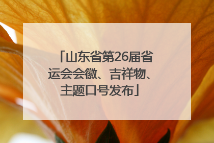 山东省第26届省运会会徽、吉祥物、主题口号发布