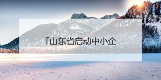 山东省启动中小企业出海专项行动 以优质中小企业“走出去”新成效展示山东产业发展新形象
