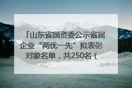 山东省国资委公示省属企业“两优一先”拟表彰对象名单，共250名（个）党员和党组织