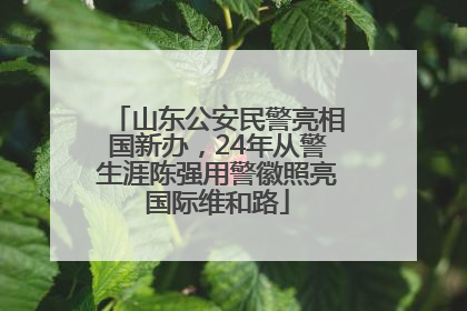 山东公安民警亮相国新办，24年从警生涯陈强用警徽照亮国际维和路