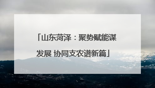 山东菏泽：聚势赋能谋发展 协同支农谱新篇