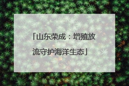 山东荣成：增殖放流守护海洋生态