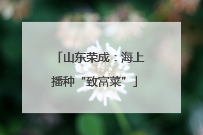 山东荣成：海上播种“致富菜”