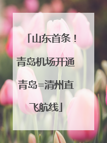 山东首条！青岛机场开通青岛=清州直飞航线