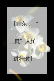 山东：“三夏”大忙进行时
