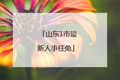 山东1市最新人事任免