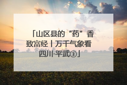 山区县的“药”香致富经丨万千气象看四川·平武③