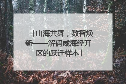 山海共舞，数智焕新——解码威海经开区的跃迁样本