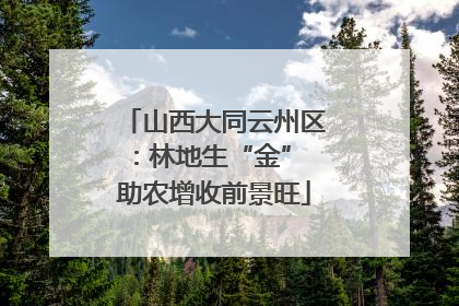 山西大同云州区：林地生“金” 助农增收前景旺