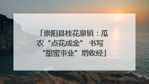 崇阳县桂花泉镇：瓜农“点花成金” 书写“甜蜜事业”增收经