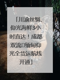 川渝丝绸、仰光海鲜3小时直达！成都双流⇌缅甸仰光全货运航线开通