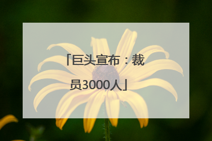 巨头宣布：裁员3000人