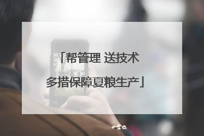 帮管理 送技术 多措保障夏粮生产