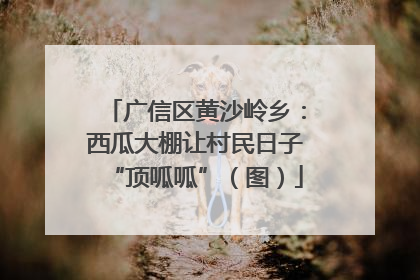 广信区黄沙岭乡：西瓜大棚让村民日子“顶呱呱”（图）