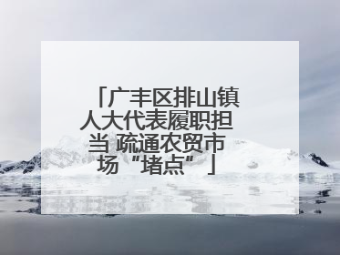 广丰区排山镇人大代表履职担当 疏通农贸市场“堵点”