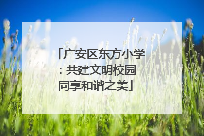 广安区东方小学：共建文明校园 同享和谐之美