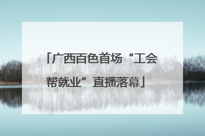 广西百色首场“工会帮就业”直播落幕