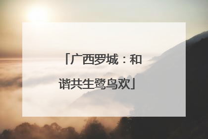 广西罗城：和谐共生鹭鸟欢