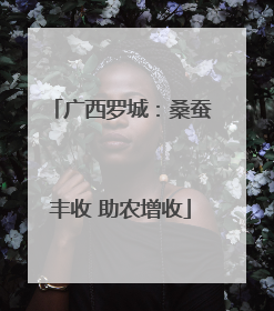 广西罗城：桑蚕丰收 助农增收