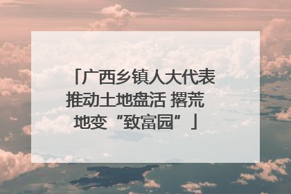 广西乡镇人大代表推动土地盘活 撂荒地变“致富园”
