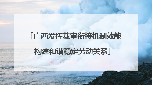 广西发挥裁审衔接机制效能 构建和谐稳定劳动关系