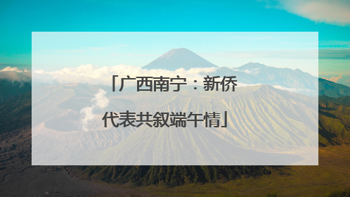 广西南宁：新侨代表共叙端午情