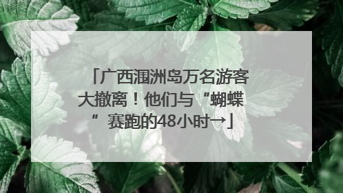 广西涠洲岛万名游客大撤离！他们与“蝴蝶”赛跑的48小时→