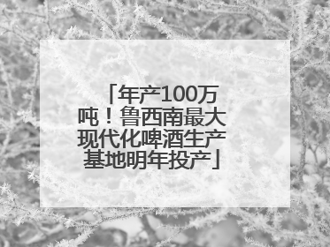 年产100万吨！鲁西南最大现代化啤酒生产基地明年投产
