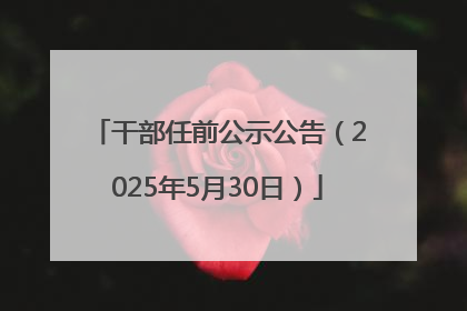 干部任前公示公告（2025年5月30日）