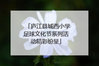 庐江县城西小学足球文化节系列活动精彩纷呈