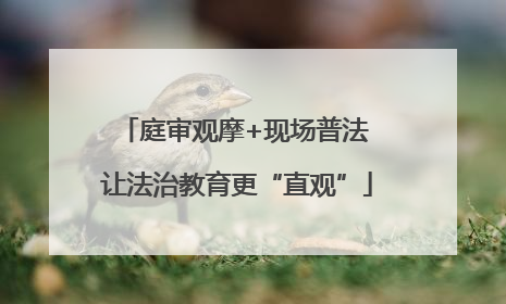 庭审观摩+现场普法 让法治教育更“直观”