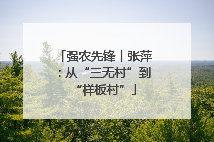 强农先锋丨张萍：从“三无村”到“样板村”