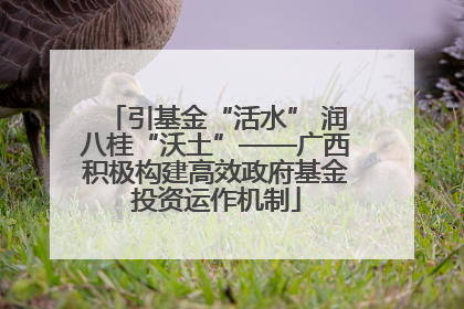引基金“活水” 润八桂“沃土”——广西积极构建高效政府基金投资运作机制