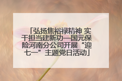 弘扬焦裕禄精神 实干担当建新功—国元保险河南分公司开展“迎七一”主题党日活动