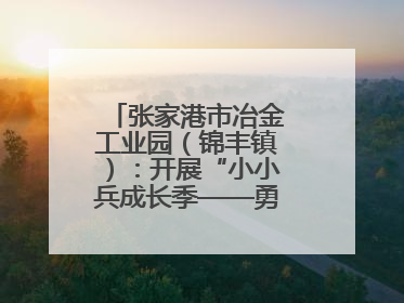 张家港市冶金工业园（锦丰镇）：开展“小小兵成长季——勇敢挑战营”国防启蒙教育活动