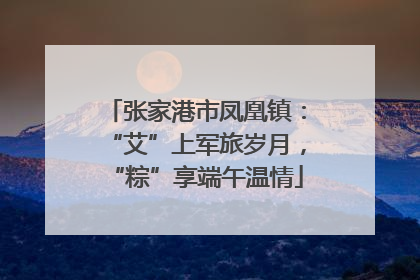 张家港市凤凰镇：“艾”上军旅岁月，“粽”享端午温情
